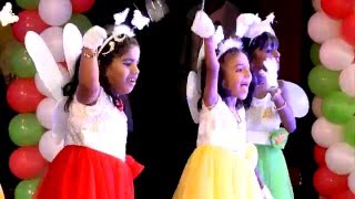 Rainbow Fairies (Rainbow Annual Day Celebrations 2016)