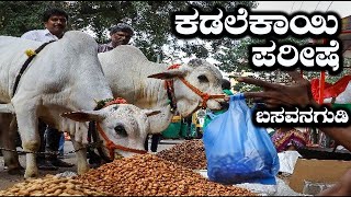 500 Years Old Kadlekai Parishe 2022 Basavanagudi Bangalore Peanut Festival Has Begun | Kannada Vlogs