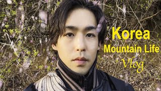 Korea vlog | Living off the Grid, my daily life in the mountain