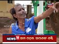 bhai sabu rajaniti 2 feb 2019 news18 odia