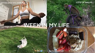 WEEK IN MY LIFE | WORKOUTS, DOG WALKS AND GO TO BREAKFAST FOODS