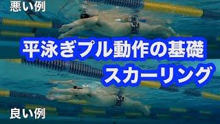 平泳ぎプル動作の基礎編【平泳ぎ上達プログラム】