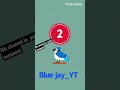 Subscribe to Bluejay_YT