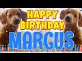 Happy Birthday Marcus! ( Funny Talking Dogs ) What Is Free On My Birthday