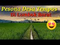 Indahnya Hamparan sawah di desa tempos Gerung || Lombok barat