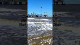 Unsettling amount of fecal matter found on Texas beaches, study says