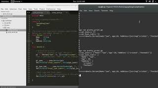 Go Golang json.Marshal returns {} when struct field start with lowercase
