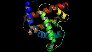 Bioinformatics of proteome analysis 2