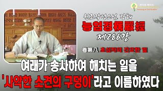 각성스님 강해_능엄경 제286강 / 여래가 송사하여 해치는 일을 '사악한 소견의 구덩이'라고 이름하였다.