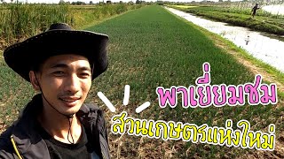 พาเยี่ยมชมสวนเกษตร กำลังเริ่มทำสวน ปลูกผักทำเกษตรผสมผสาน | Luckybox ระบบน้ำการเกษตร