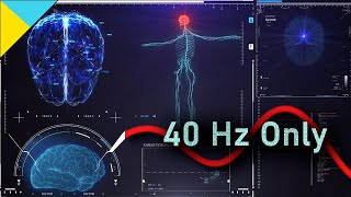 100% 40Hz GAMMA Waves (NO MUSIC As Requested by YOU) for MULTIPLE Conditions (See Description!)