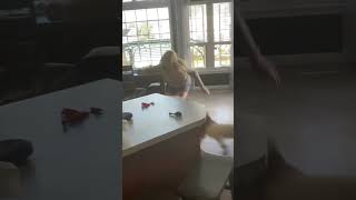 Snippet Of My Crazy Life With A Saint Bernard #shorts #funnyshorts #dogshorts #funnydogvideos