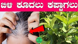 ಬಿಳಿ ಕೂದಲು ಕಪ್ಪಾಗಲು ಮನೆಮದ್ದು | ಕೂದಲು ಕಪ್ಪಾಗಲು | White Hair to Black Hair Kannada | #shorts #hair