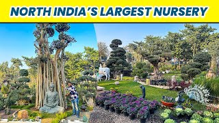 North India’s Largest Nursery 😯 यहाँ है Rare Plants की भरमार 😮 देखके दंग रह जाओगे