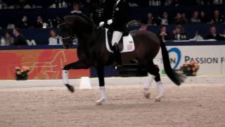 Zhivago 2010 Stallion Show Part 1 of 2