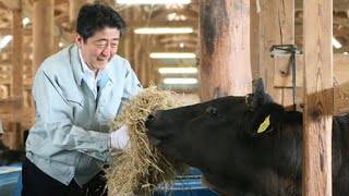 山形県訪問―平成28年6月9日