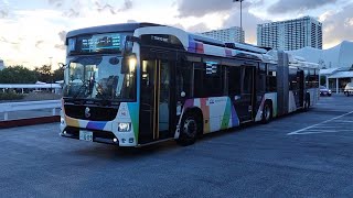 京成バス 東京BRT 幹線ルート いすゞエルガデュオ 国際展示場 2023/08/24