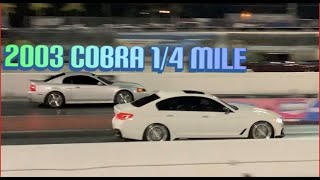 Racing My Terminator Cobra in The 1/4 Mile for The First TIME! Plus racing a Modified 2020 M5