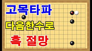 고목바둑타파 흑이 붙힐경우 혼내줍시다