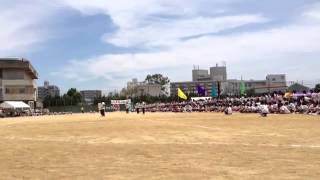 2013.5.31(fri) 芦間高校体育祭 @大阪府立芦間高校