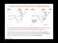 Microbial Evolution and Phylogeny