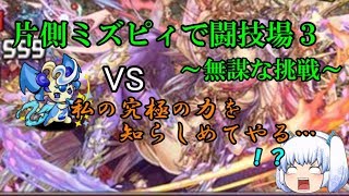 片側ミズピィで闘技場３～無謀な挑戦～