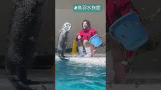 【鳥羽水族館】せっせと仕事をするメイちゃんと自由気ままなキラちゃん🦦