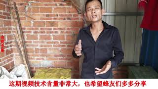 经过处理后的交尾群情况如何？蜂农山花小哥用事实证明效果显著