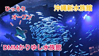 知ってた？　ひっそりオープン沖縄新水族館DMMかりゆし　【4k】