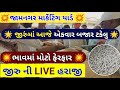 live cumin trading in Jamnagar APMC||Jeera Na bhav||May 21, 2024