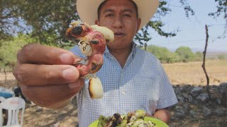 Guamúchiles asados un manjar para los dioses!!!