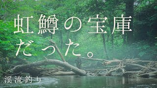 【渓流釣り】地元の川が虹鱒の宝庫だった。【北海道】