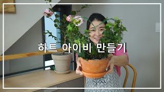 사랑을 고백할 때~ 하트 아이비 화분 만들기!