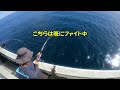 秋のコマセマダイ ヒラマサ見え始めました 2022 10 a yellowtail amberjack　was caught while fishing for red sea bream.