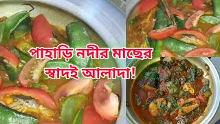 পাহাড়ি নদীর তরতাজা মাছের সুস্বাদু রান্না, যেন অমৃতের স্বাদ! Recipe | Daily Vlog | BD Family Vlogs