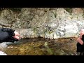 【渓流釣り】災害の爪痕残る飛騨の渓流　mountain stream fishing in hida area