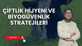 ÇİFTLİK HİJYENİ VE BİYOGÜVENLİK STRATEJİLERİ | HAYVANCILIK REHBERİ