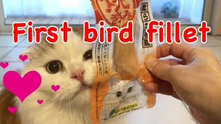 For the first time, I gave a cat a bird fillet😻猫に「焼きささみ」を初めてあげてみた