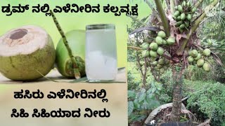 karavalikannadavlogs ಹಸಿರು ಎಳೆನೀರಿನಲ್ಲಿ ಸಿಹಿ ಸಿಹಿಯಾದ ನೀರು