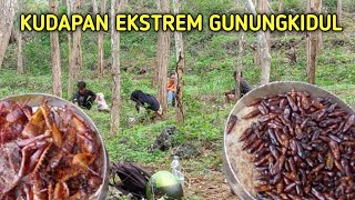 Ungkrung&Walang; Kuliner Ekstrem di Gunungkidul Jogja