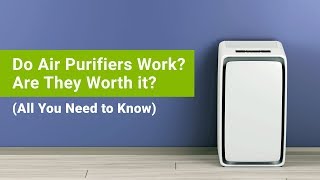 Do Air Purifiers Actually Work? Are Air Purifiers Worth it? (Do You Need and Air Purifier at All?)