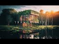 Tranquility | Relaxing Ethereal Ambient Music - Beautiful Relaxing Meditative Music