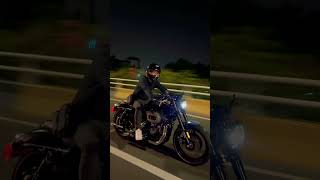 HARLEY DAVIDSON SPORTSTER ROADSTER | BEAUTIFUL LIE #shorts