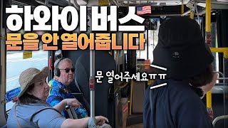 하와이 한달살기를 시작하면 반드시 알아야 할 것들 대책 없이 세계여행에 전 재산 탕진하는 40대 딩크 부부