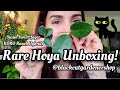 RARE HOYA UNBOXING | Plant Mail From @blackcatgardenershop 🐈‍⬛ Including KOKO Ranch Hybrids 🌿