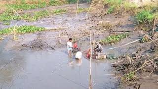 চান্দ গ্রাম এরাল বিল পুকুরের মাছ।