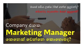 How to become a Marketing Manager : 2024