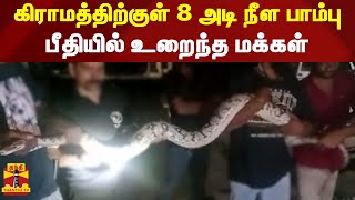 கிராமத்திற்குள் 8 அடி நீள பாம்பு.. பீதியில் உறைந்த மக்கள்.. Python snake |vadodora |Thanthitv