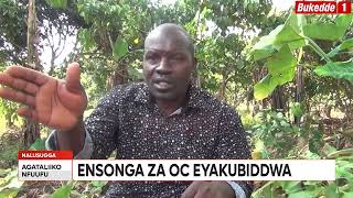 Agataliikonfuufu:  ENSONGA ZA OC EYAKUBIDDWA  ABOOLUGANDA BOOGEDDE