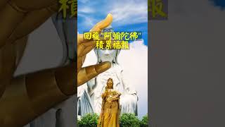 238   佛陀永遠保佑你的家庭  消除災禍、帶來福報  佛教音樂回復“阿彌陀佛”積累福報